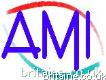 Ami Group Ltd tracking devices and asset management