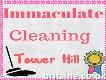 Immaculate Cleaning Tower Hill