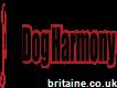 Dog Harmony Dog training
