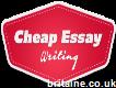 Essay writing Services