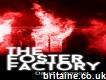 The Foster Factory by David Learmont