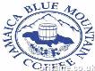 Get Best Jamaican Blue Mountain Coffee in Uk from the Best Site