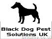 Black Dog Pest Solutions Uk