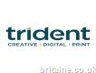 Trident Design - Marketing Agency