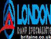 London Damp Specialists