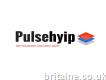Pulsehyip -bitcoin Investment Script Software