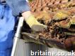 Key Advantages Of Taking Professional Gutter Cleaning Suffolk Into Service