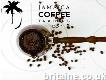 Buy Best Coffee only from Jamaica Coffee Trading Co