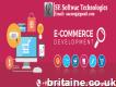 E-commerce Web Design Service to increase your business