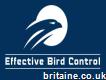 Effective Bird Control Ltd