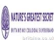 Natures Greatest Secret (optimised Energetics)