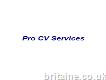 Pro Cv Writing Services