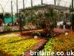 About Greenhills Nursery Ltd or Plants and Trees Nursery In Uk
