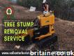 Tree Stump Removal Services in Rochford and Essex