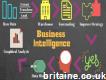 Business Intelligence Assignment Help Services @50% Off