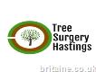 Tree Surgery Hastings