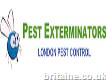 Pest Exterminators
