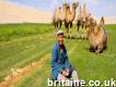 Best Private and Group Tours to Mongolia