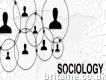 Buy Sociology Assignment Online in Uk @ Assignment Desk