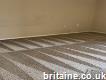 #1 Carpet Cleaning