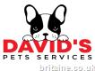 Davids pet services
