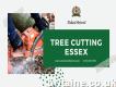 Best Tree Cutting Service In Essex Valiant Arborist
