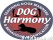 Dog Trainer Manchester