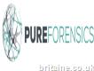 Pure Forensics Accountants