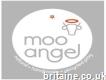 Mooangel - Educational Products