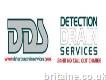 Detection Drain Services