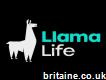 Llama Life -taunton