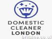 Domestic Cleaner London
