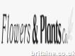 Flowers & Plants Co.