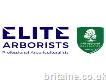 Elite Arborists - Tree Surgeons