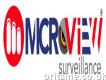 Microview Security