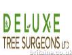 Deluxe Tree Surgeons Ltd