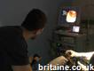 Veterinary Endoscopy: Animal Endoscopic Services in Wigan