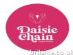 Daisie Chain Floral Design
