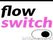 Flowswitch (webflow Migration Experts)