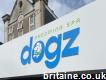 Dogz Grooming Spa