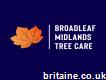 Broadleaf Midlands Tree Care