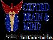 Oxford Brain And Mind