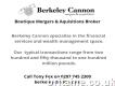 Boutique Mergers & Acquisitions Company London