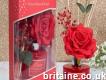 Shop for Scented Diffuser With Flowers in the Uk