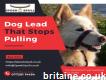 Buy a Dog Lead That Stops Pulling You 2posh2pull
