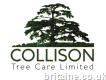 Collison Tree Care