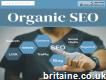 Organic Search Engine Optimisation Near Cheddar