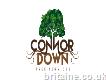 Connor Down Tree Services