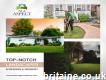 Hire The Most Professional Landscaper In Reading