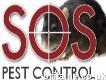 Sos Pest Control - Specialist Pest Control Maidsto